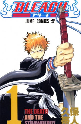 Bleach volume 1