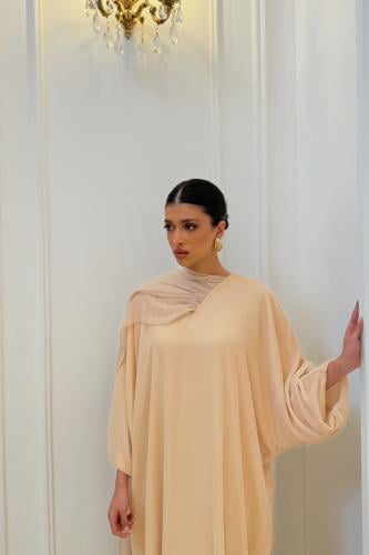 velvet dress and beige chiffon shawl