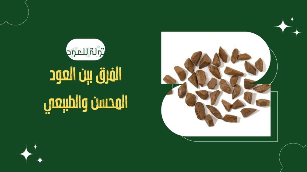 الفرق بين العود المحسن والطبيعي