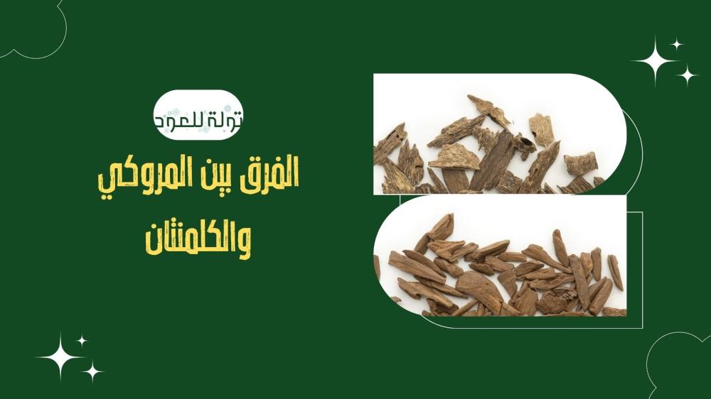 الفرق بين المروكي والكلمنتان