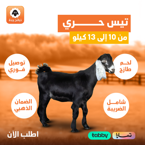 تيس عارضي
