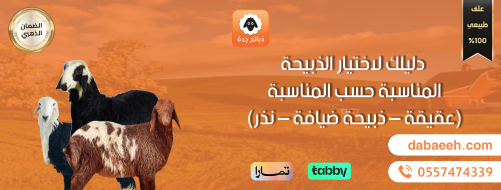دليلك لاختيار الذبيحة المناسبة حسب المناسبة (عقيقة – ضيافة – نذر)
