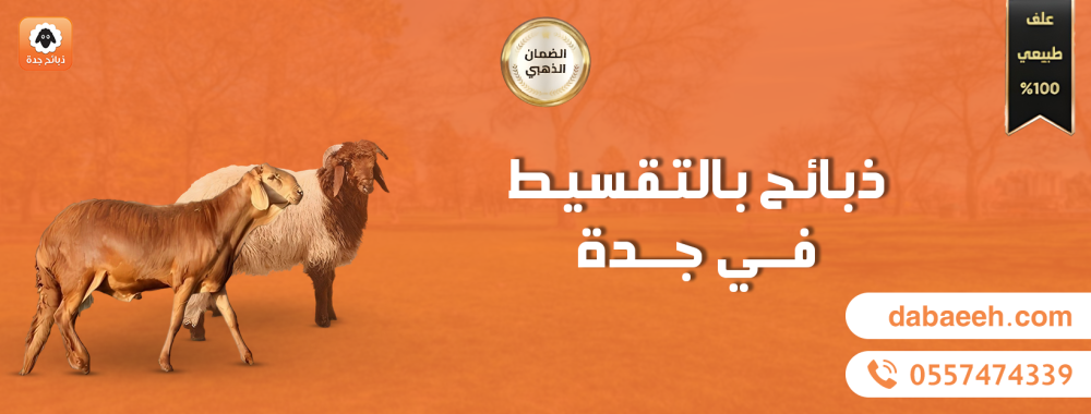 ذبايح بالتقسيط في جدة: راحت عليك العزايم بدون ضغوط مالية