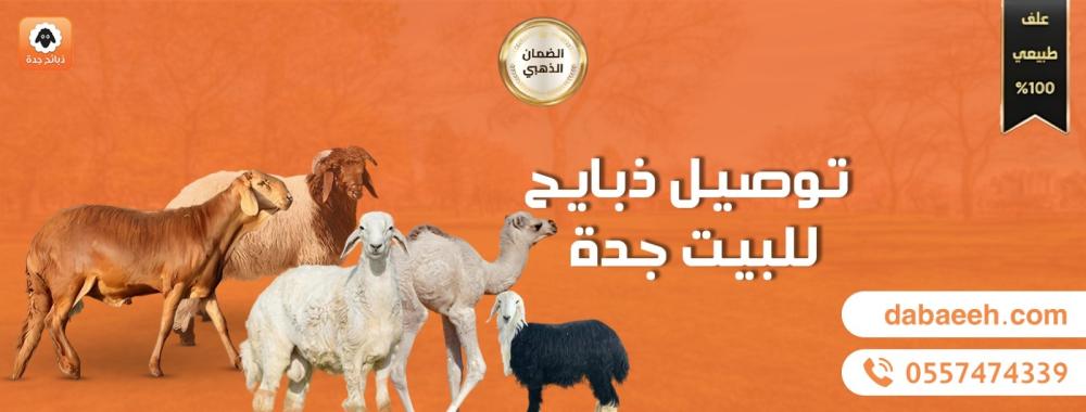توصيل ذبايح للبيت جدة: راحتك أولويتنا وجودتك مضمونة