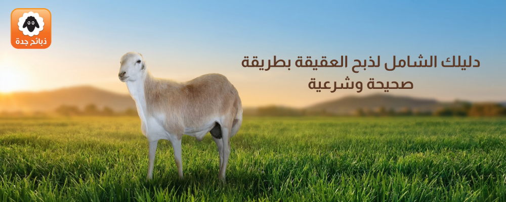 ذبح العقيقة