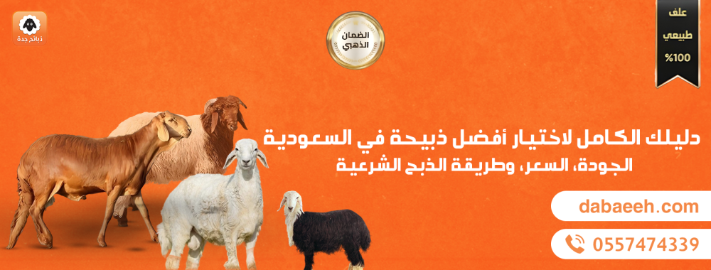 دليلك الكامل لاختيار أفضل ذبيحة في السعودية: الجودة، السعر، وطريقة الذبح الشرعية