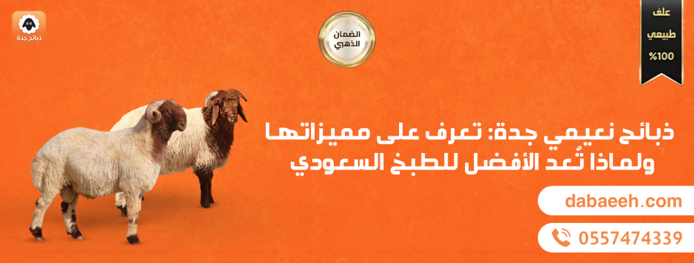 ذبائح نعيمي جدة: تعرف على مميزاتها ولماذا تُعد الأفضل للطبخ السعودي