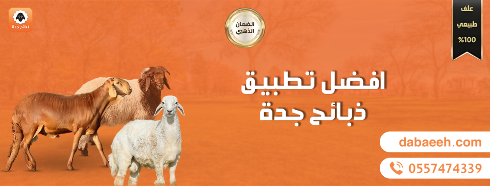 أفضل تطبيق ذبائح جدة: دليلك الشامل لشراء الذبائح أونلاين براحة وأمان