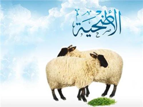 أضحيه تذبح وتوزع في مكة المكرمة ايام العيد