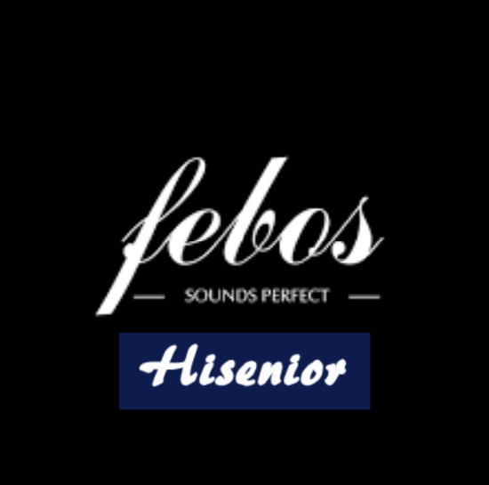 Hisenior Audio