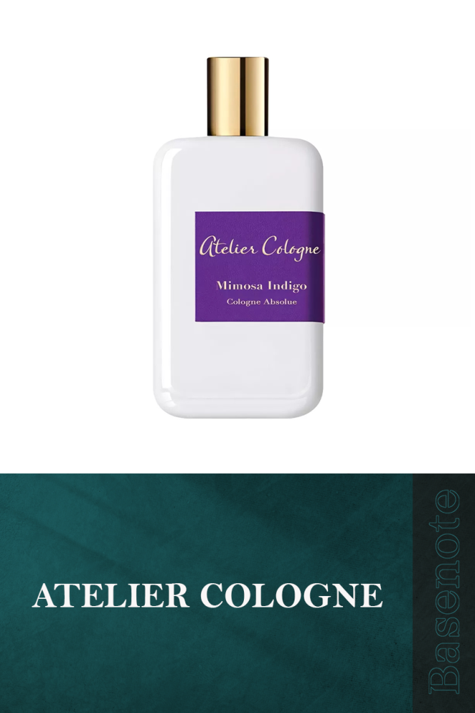 Mimosa Indigo basenotesa