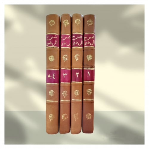 شرح الرضي على الكافية