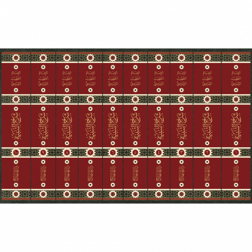النجم الثاقب في شرح تنبيه الطالب