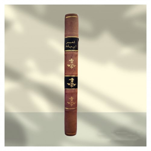 شعر ابن ميادة