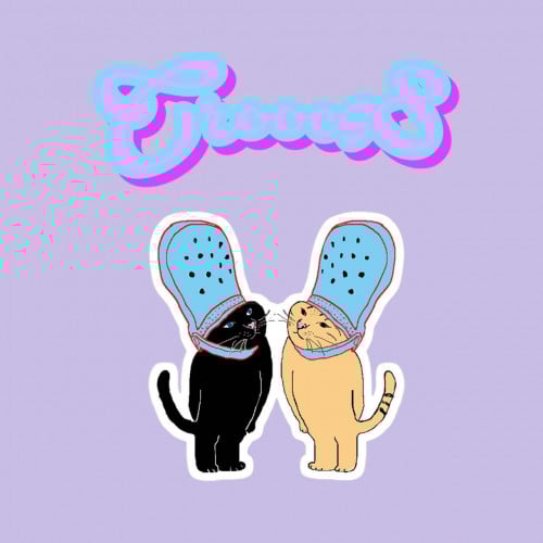 Croocs8