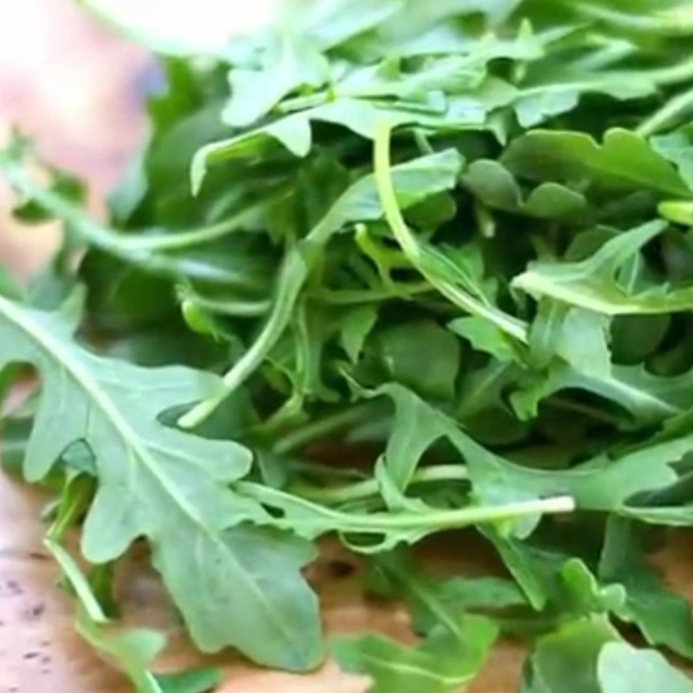 بذور شجرة الجرجيرEruca vesicaria ssp