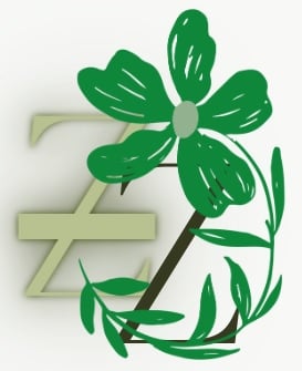 store avatar