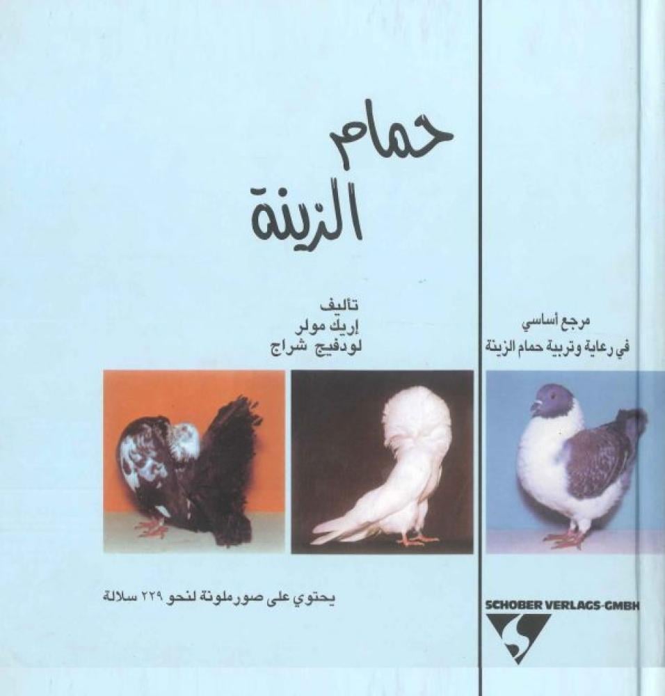 حمام الزينة