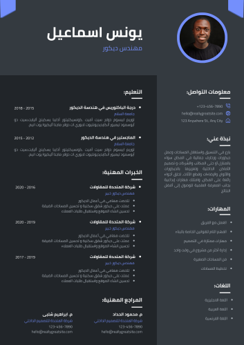 السيرة الذاتية الاحترافية 4