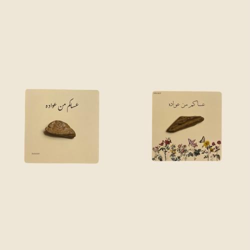 توزيعات كسرة عودة