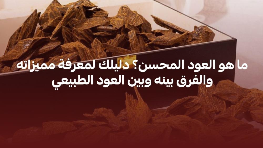 ما هو العود المحسن؟ دليلك لمعرفة مميزاته والفرق بينه وبين العود الطبيعي