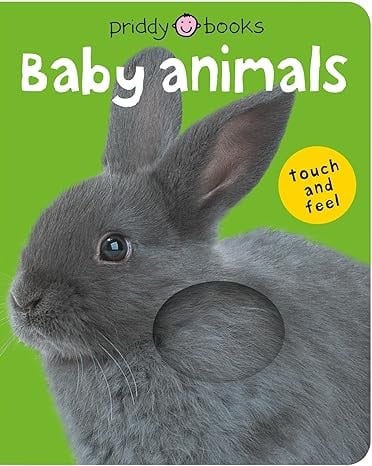 Bright Baby Touch