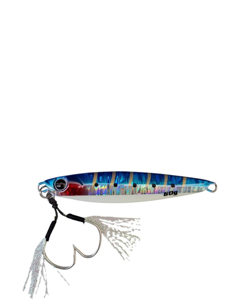 blue sardine