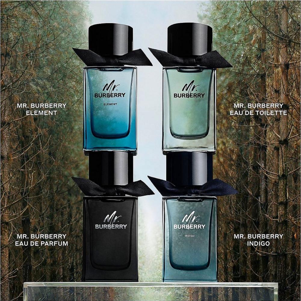 Burberry Element Eau de Toilette 100ml Fancy Perfumes Store