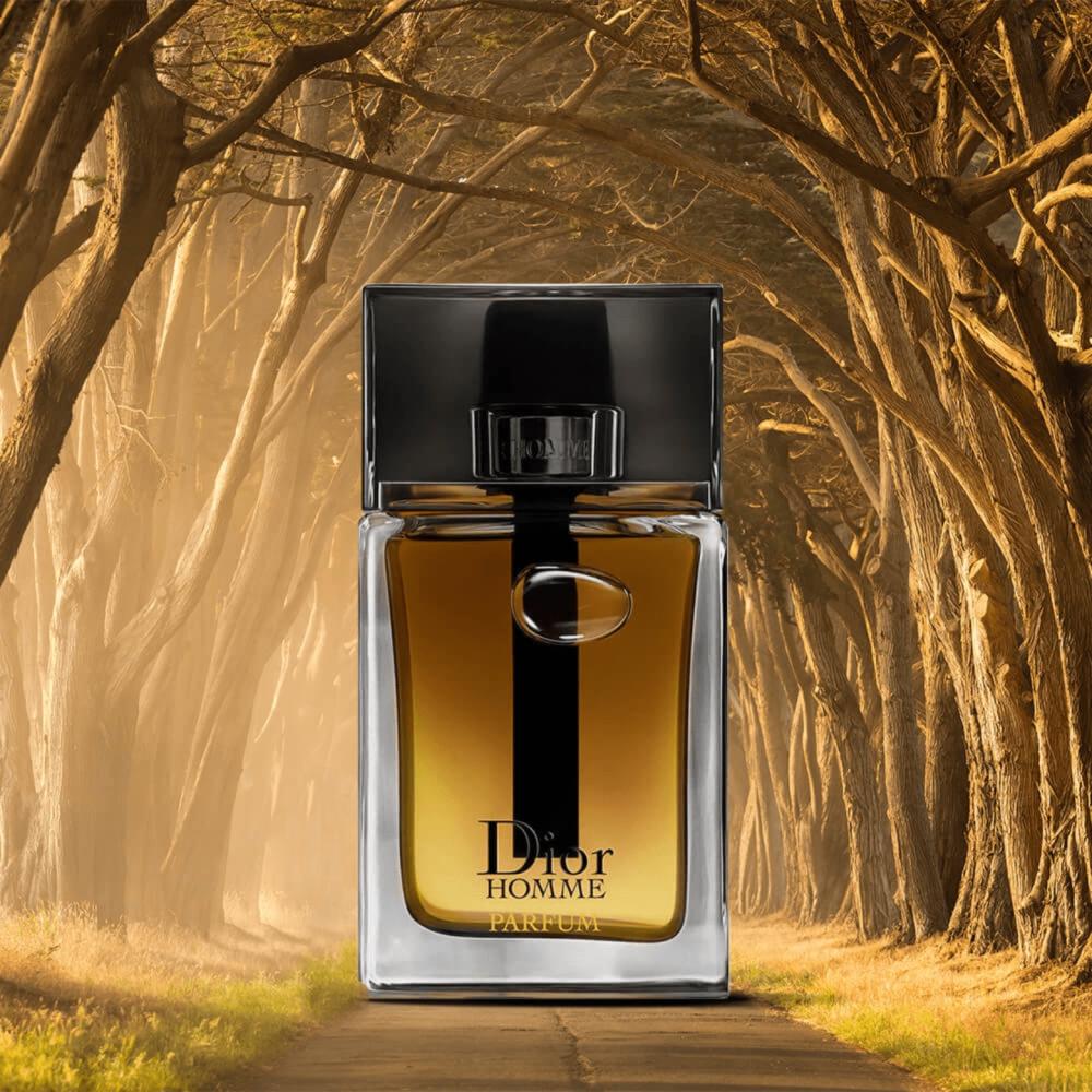 Dior Homme Parfum 2024