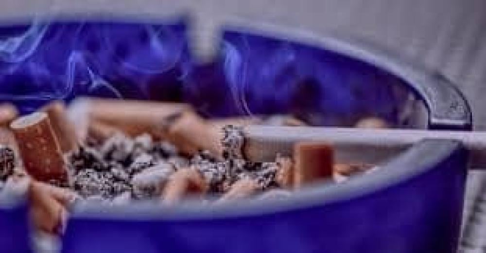 النيكوتين الطبيعي: ما هو وكيف يؤثر على صحتنا؟