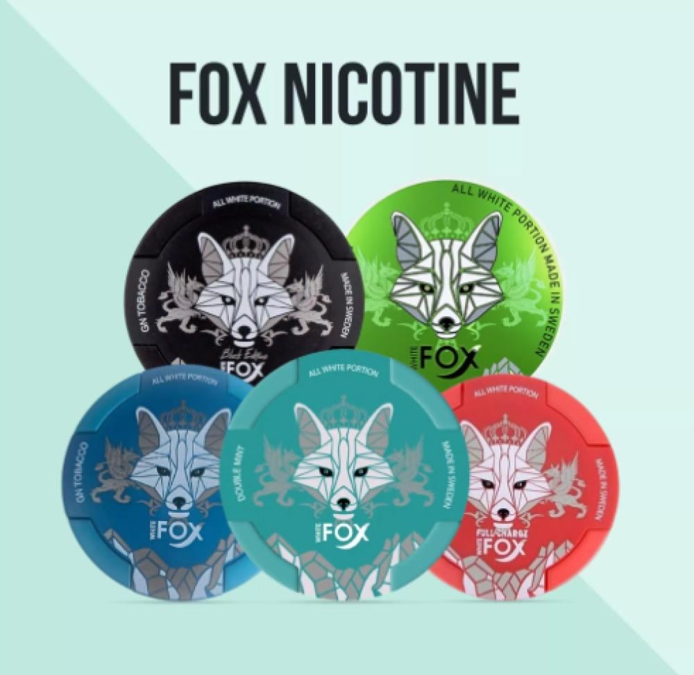 وايت فوكس أظرف نيكوتين: كل ما تحتاج معرفته عن White Fox في السعودية