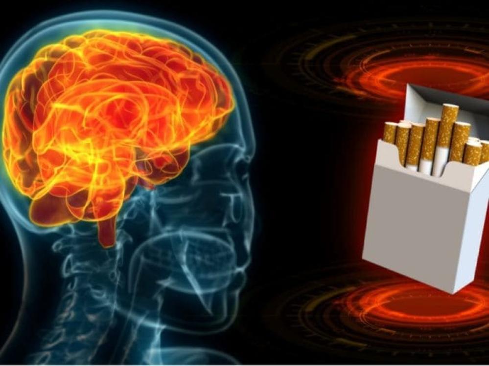 النيكوتين وتأثيره على الدماغ: كيف يؤثر على وظائفنا العقلية؟