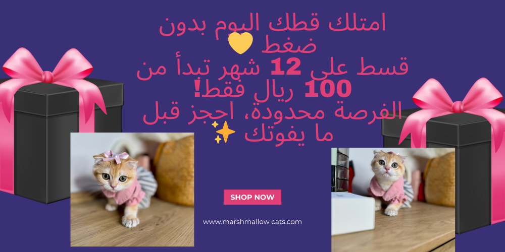 بسة للبيع في الرياض | احجز أليفك والحق العروض