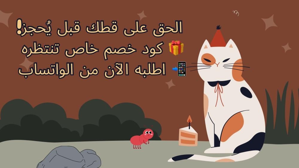 قطط للبيع في الدمام والخبر | “قطط مارشميلو وصلت الشرقية ”