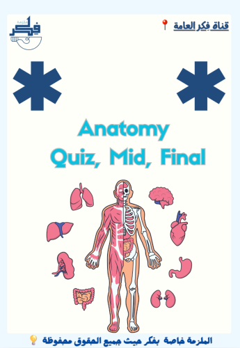 ملزمة Anatomy