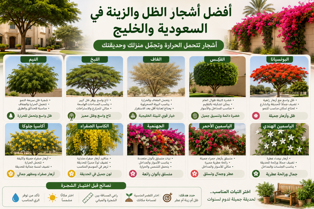 أفضل أشجار الظل والزينة في السعودية والخليج.. خيارات تتحمل الحرارة وتجمّل منزلك