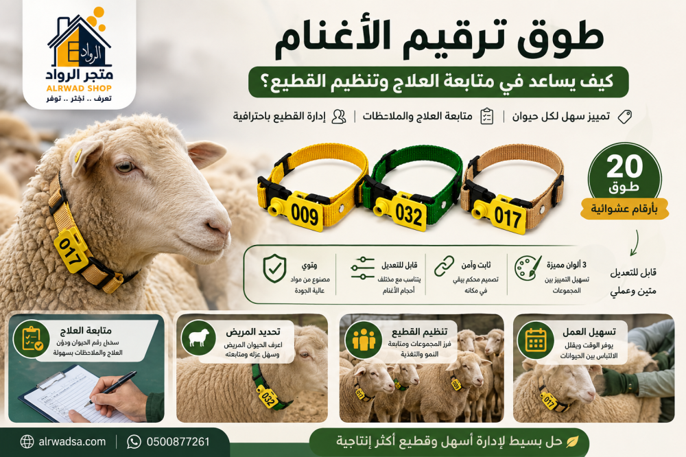 طوق ترقيم الأغنام: كيف يساعد في متابعة العلاج وتنظيم القطيع؟