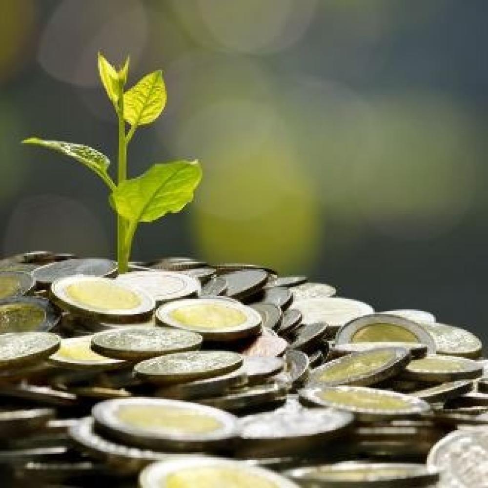 هل نجمع المال لأجلهم… أم نضيع أعمارنا؟ حقيقة الورث واختلاف الأبناء بعد رحيل الأب