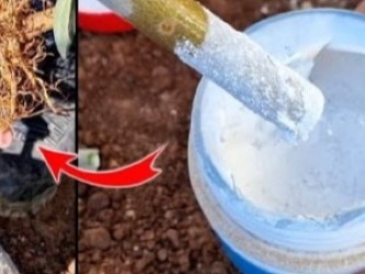 طريقة تعقيل مئات والألف العقل وبنسبة نجاح عالية جدا