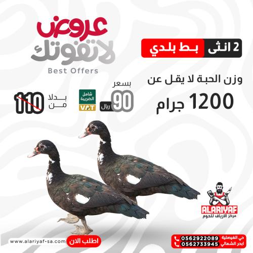 2 انثي بط بلدي