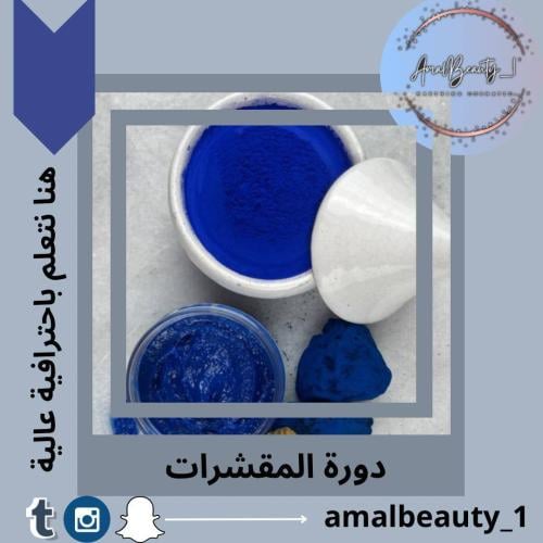 دورة المقشرات من الصفر