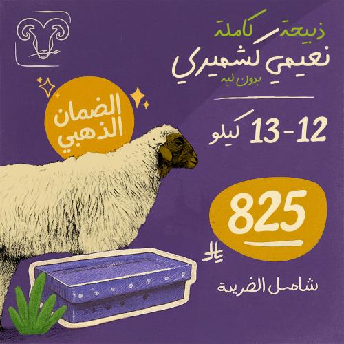 خروف نعيمي كشميري بدون لية 12- 13 كيلو