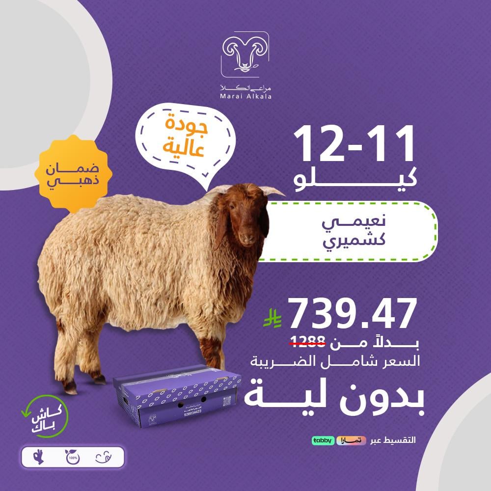 خروف نعيمي كشميري بدون لية 11-12 كيلو