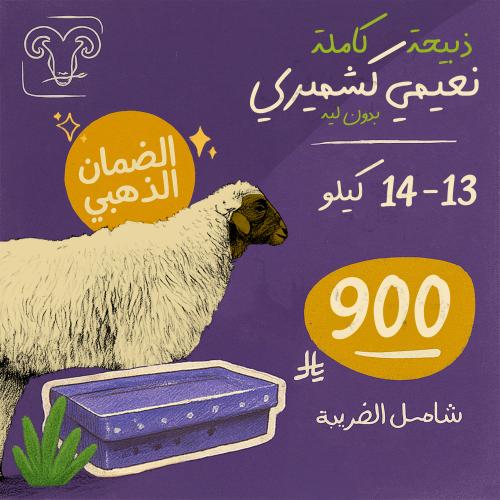 خروف نعيمي كشميري بدون لية 13-14 كيلو