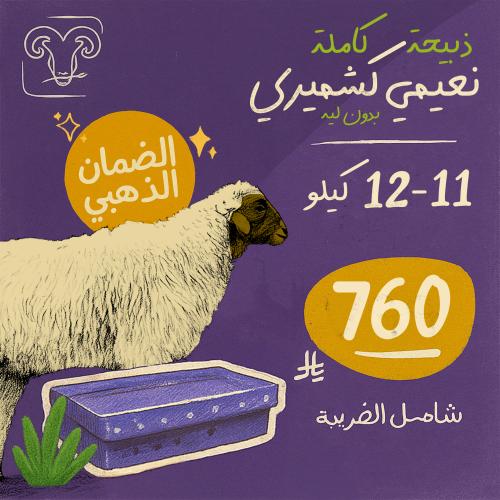 خروف نعيمي كشميري بدون لية 11-12 كيلو