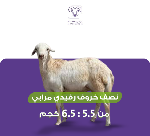 نصف خروف رفيدي مرابي 5.5-6.5 كيلو