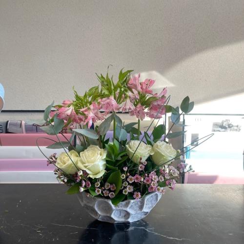 فازة المحبه