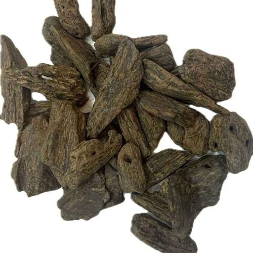 عود بيت النمل المروكي