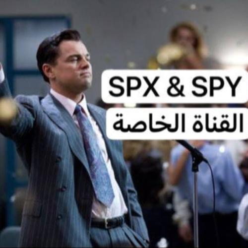 اشتراك شهر قناة SPY & SPX الخاصة