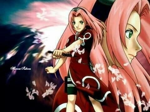 هارونو ساكورا